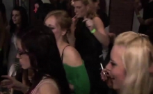 Party girls love to fuck in public